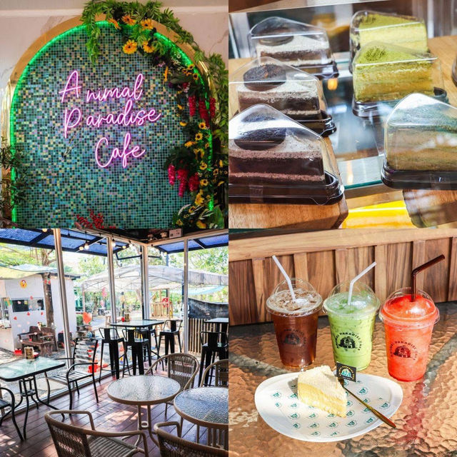 Animal Paradise Cafe  Patty’s