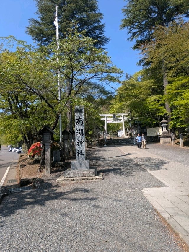 南湖公園で見つけたかわいいカフェと神社さんぽ