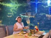 ชวน กินปู ดูปลาฉลามที่ Sanctuary พัทยา