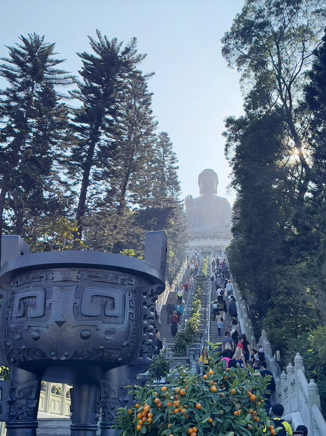 香港 ｜世界十大最佳纜車體驗 昂坪360