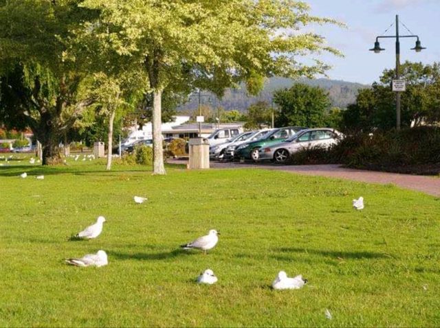 #羅託魯瓦湖Lake Rotorua-紐西蘭羅託魯瓦