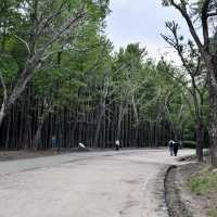 水上星巴克欣賞漢江風景+首爾林公園散步