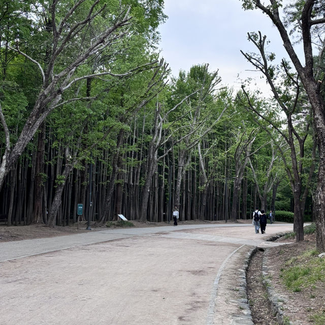 水上星巴克欣賞漢江風景+首爾林公園散步