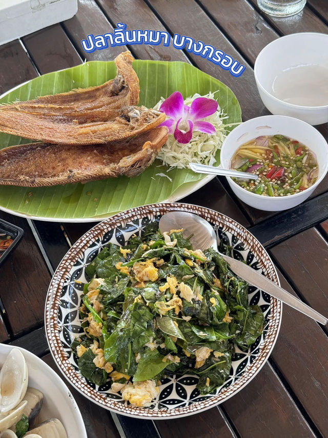 พิกัดร้านดัง “ร้านปลาทู” @ชะอำ 🐟🏝️