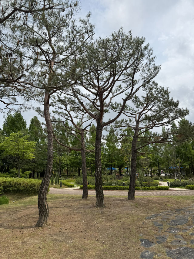 도심 속 봄꽃 여행, 전망대까지 있는 힐링 산책
