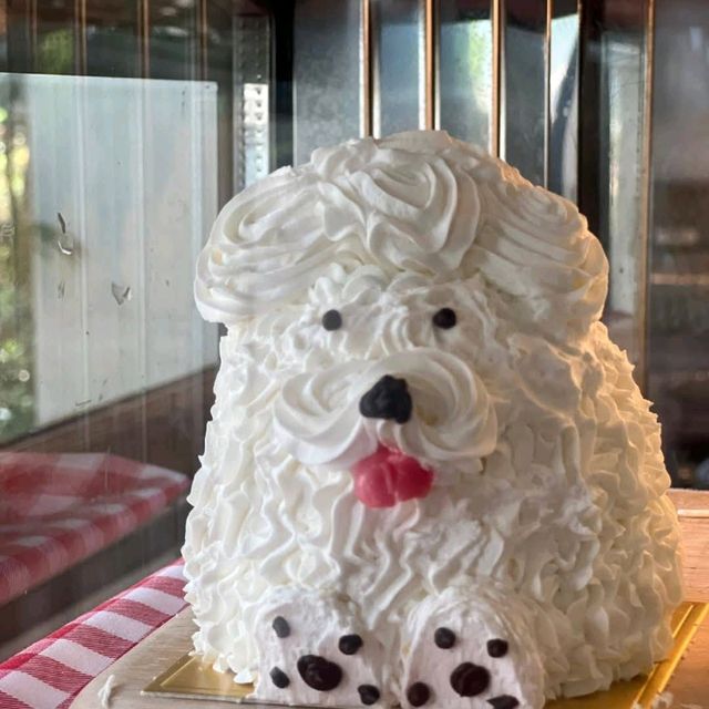 𝗯𝗢𝗻𝗻𝗶𝗲 𝗼𝗻 𝘁𝗵𝗲 𝗯𝗲𝗮𝗰𝗵 