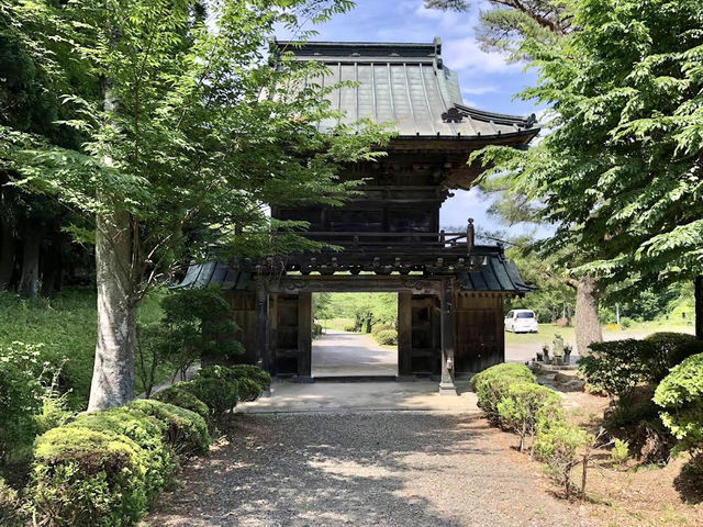 The Magical Yorinji Temple