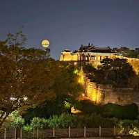 Suwon: A Harmonious Blend of History and Modernity