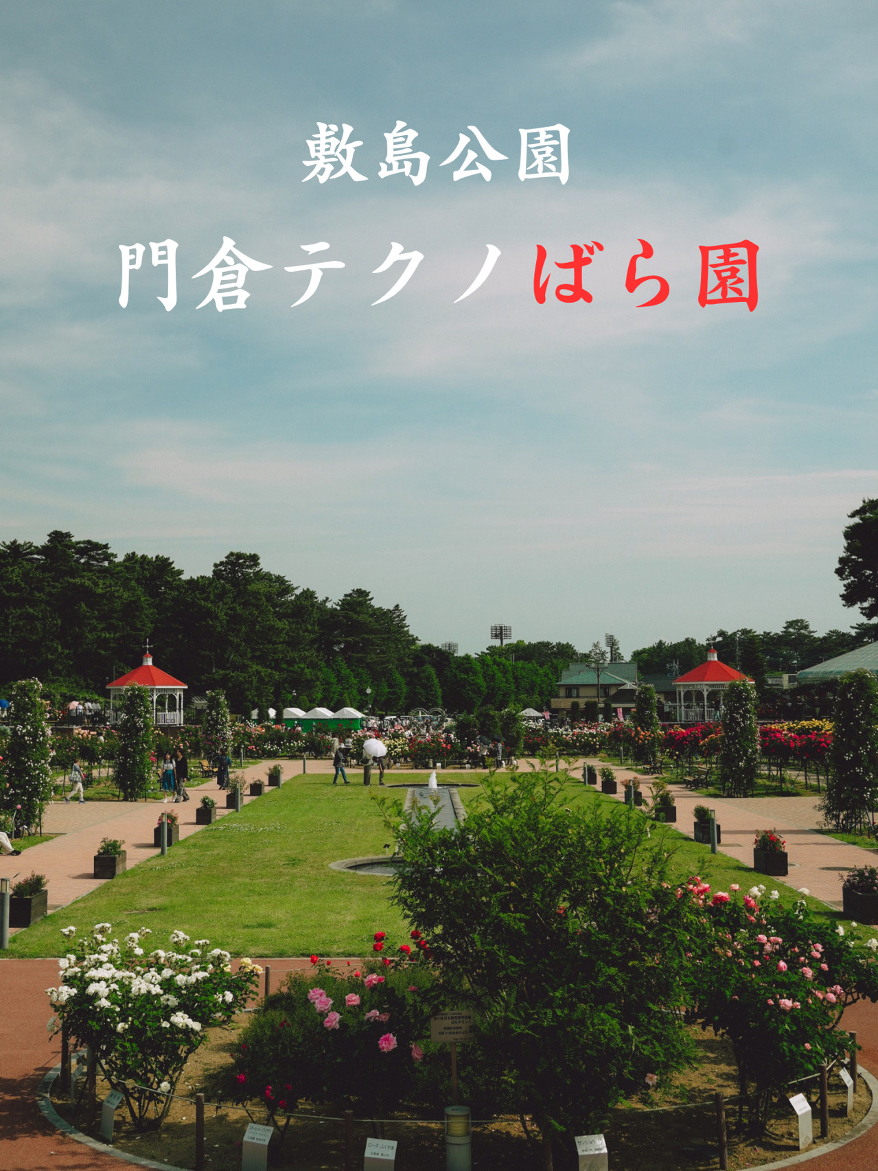 Gunma Prefecture | Shikishima Park Kadokura Techno Rose Garden 🌹