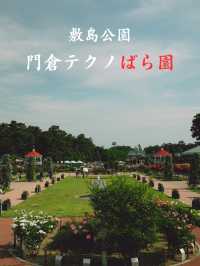 群馬県｜敷島公園門倉テクノばら園🌹