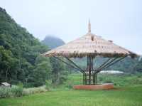 จัดเต็มที่เที่ยวบน•ดอยอ่างขาง•🌳🌧️