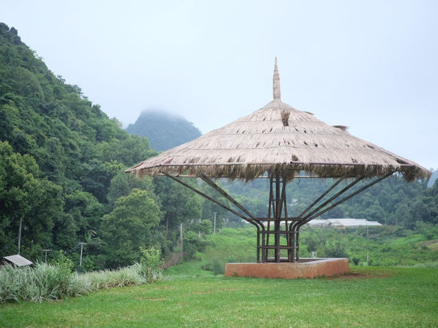 จัดเต็มที่เที่ยวบน•ดอยอ่างขาง•🌳🌧️