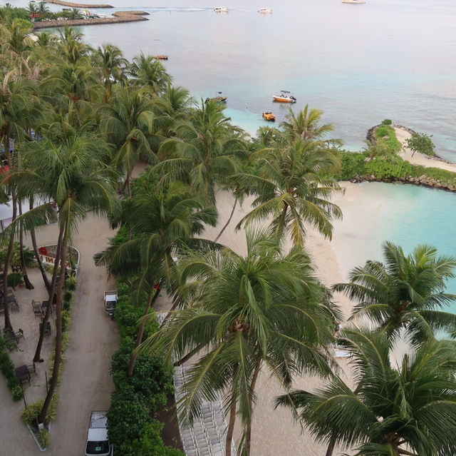 Tropical Bliss: A Stay at Kaani Palm Beach