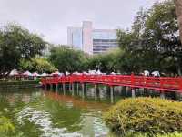 鬧中取靜的時光綠洲，台中公園漫遊。