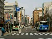 Kobe Chinatown (Nankinmachi) – A Flavorful Journey Through Culture