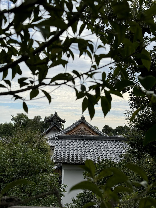 Kyoto itinerary - A Timeless Journey.
