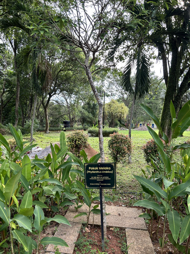 Evening walk at Taman Seribu Bunga Ayer Keroh