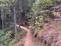 A Hike to Remember in Thimphu -Kuenselphodrang National Park