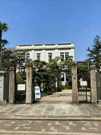 Nagoya Castle: A Symbol of Samurai Power and Prestige