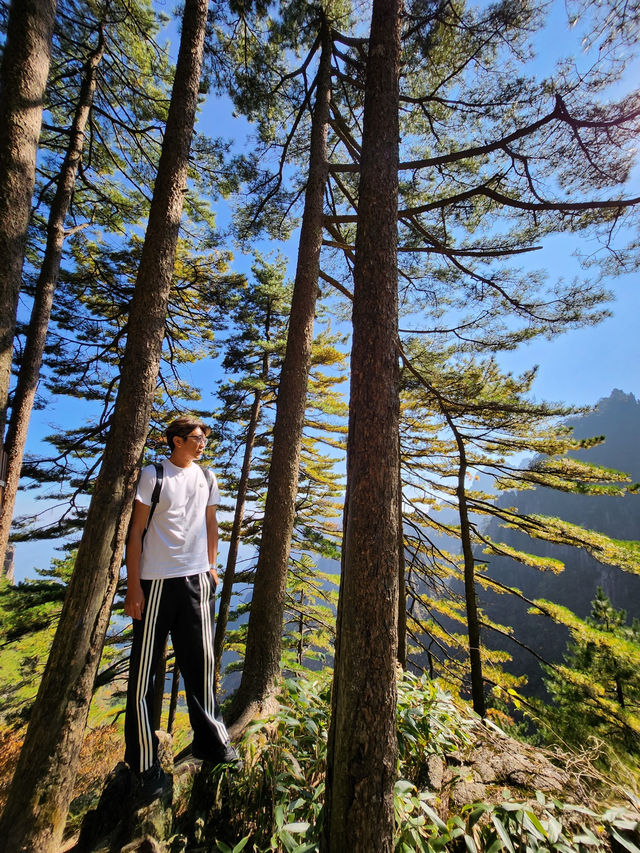 黃山風景區