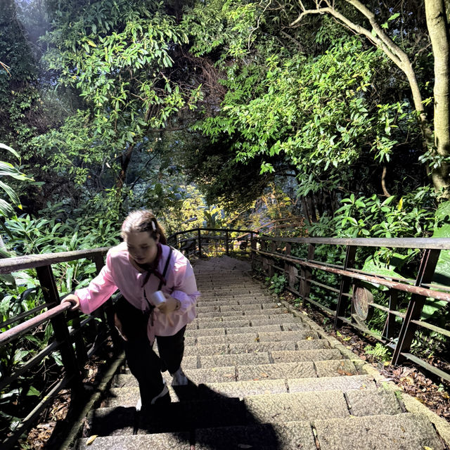 Elephant Mountain Hiking Trail ⛰️🤙