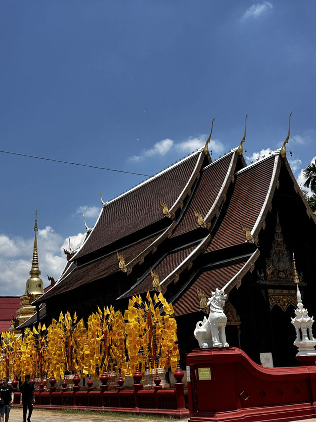 Premium hospitality hotels in chaing mai