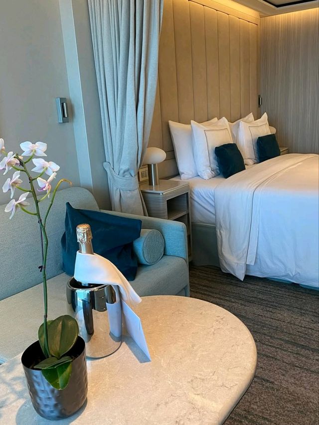 ⛴️ All Aboard the Silver Nova: Australia’s Ultimate Luxury Cruise Adventure!