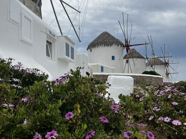 Mykonos Island Dreams