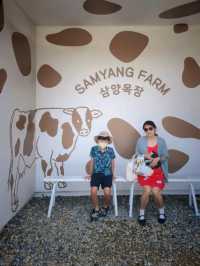 하늘아래 첫 자연 🐮삼양목장