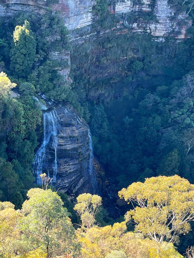 Prince Henry Cliff Walk at Blue Mountain, Sydney