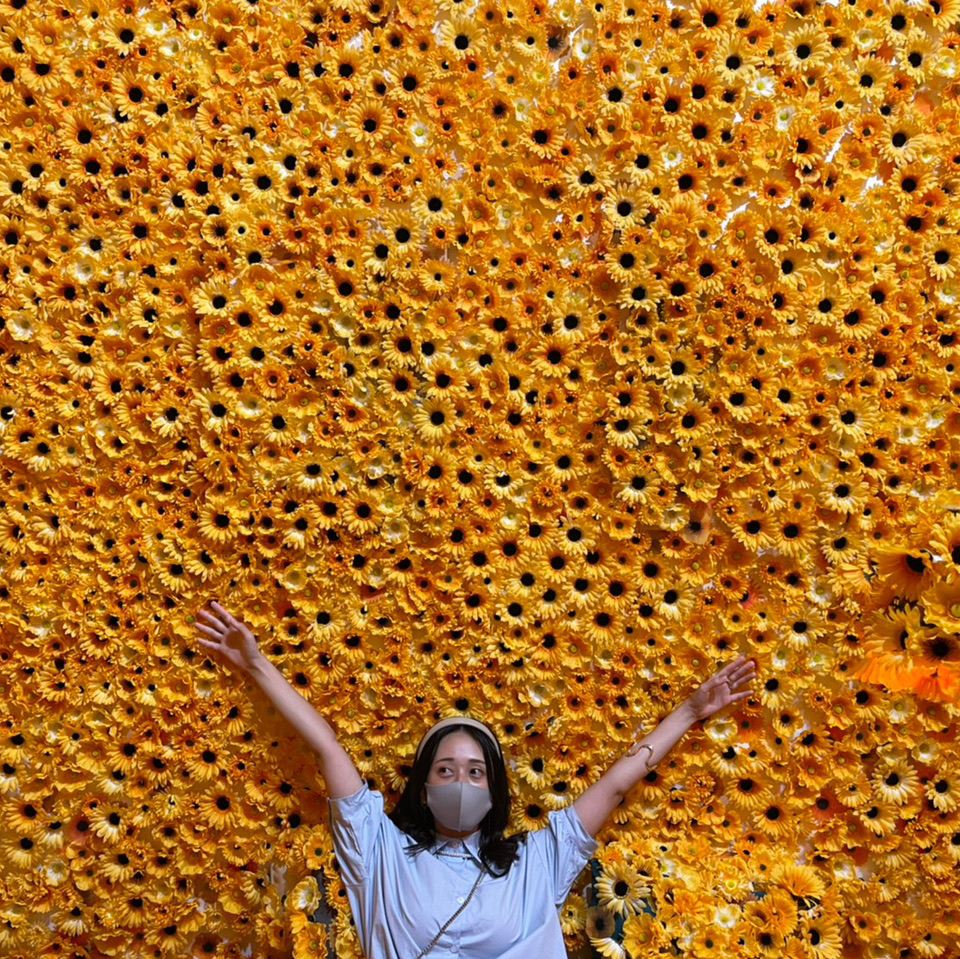 ドットは向日葵のアートが圧巻🫣🌻草間彌生の世界観が広がる美術館