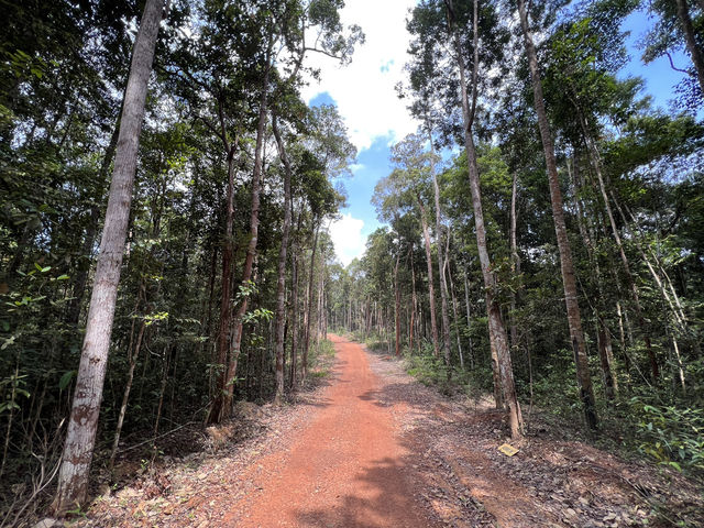 Panbil Nature Reserve: A Thrilling Jungle Workout with Stunning Rewards