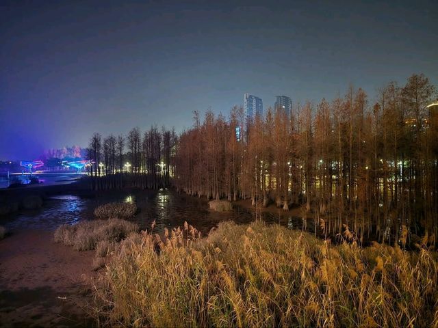Low-Key Chill Spot with Serious Local Vibes