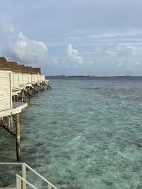 Maldives dream destination 