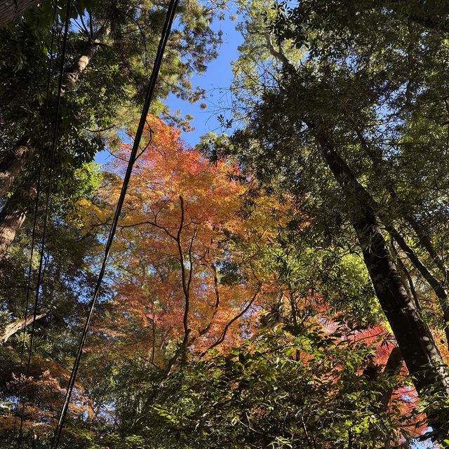 日本遺産にもなった！