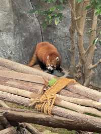 生日的海洋公園