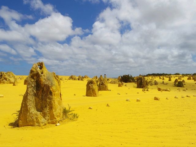 【パース🇦🇺】ユニークな景色✨️ピナクルズ