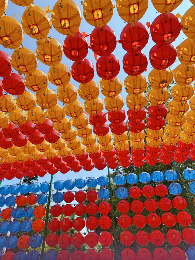 香港🇭🇰必去景點～天壇大佛