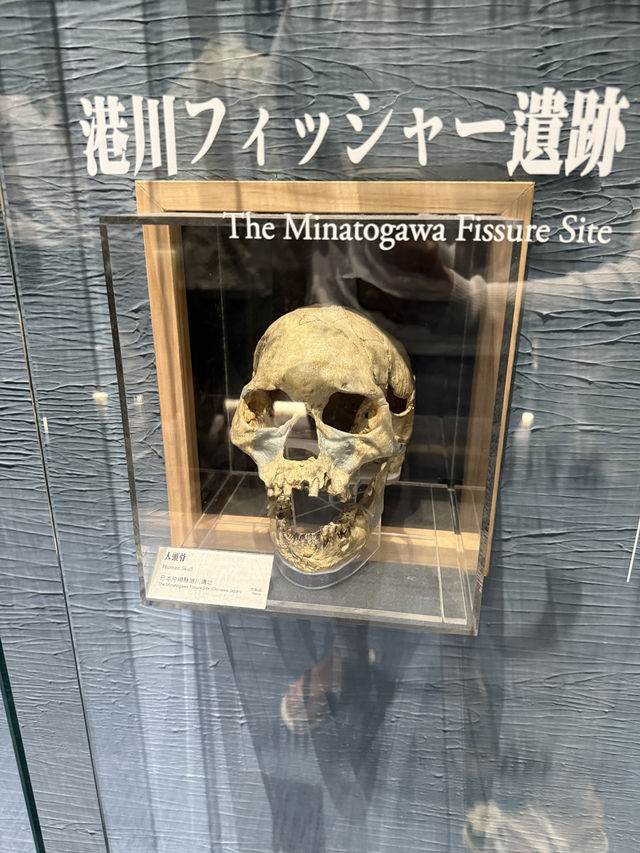 國立臺灣史前文化博物館