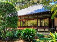 Tokyo National Museum – A Timeless Journey Through Japanese Art & History