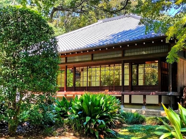 Tokyo National Museum – A Timeless Journey Through Japanese Art & History