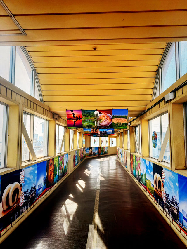 和歌山｜帶來幸福的「吉慶鯛魚列車」 荒廢線路變觀光熱點