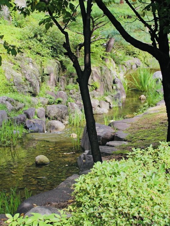 Namsangol Park: An Urban Oasis Beyond the Hanoks