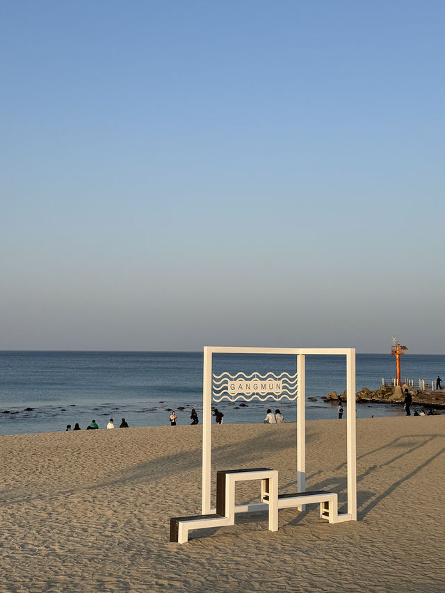 🌊 역사와 바다가 공존하는 도시, 강릉 산책기 🖋️🏖️