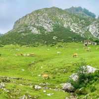 Northern Spain’s Most Beautiful Natural Paradise 🍃✨ The “Little Switzerland” of Spain 🇪🇸