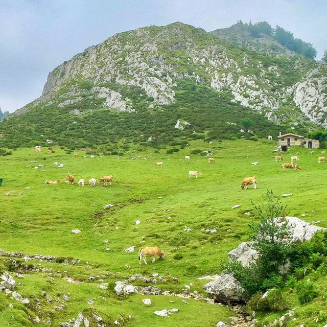 Northern Spain’s Most Beautiful Natural Paradise 🍃✨ The “Little Switzerland” of Spain 🇪🇸