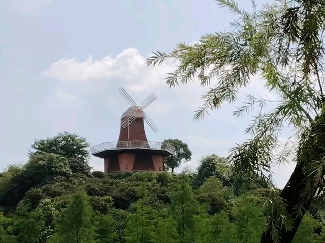 🪴Citywalk 東莞植物園