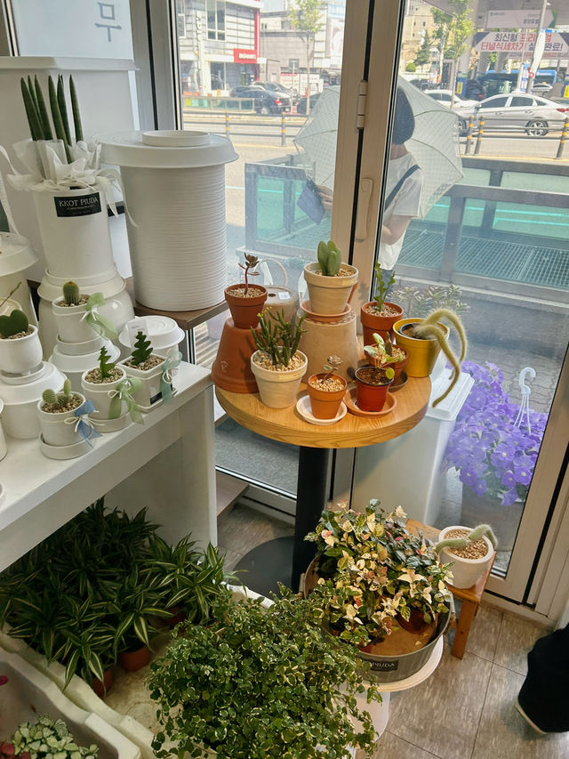 💐 꽃처럼 피어나는 아름다움, 꽃피우다