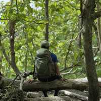DETAILED EXPERIENCE: SPARTAN TRAIL CEBU