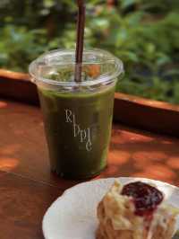 Ripple Coffee Roasters 🍃🍵🪑🌳🤎